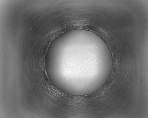 X0000079300917200611170825
