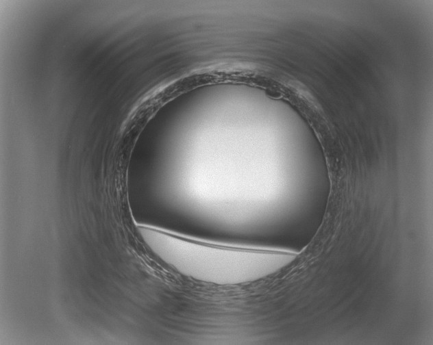 X0000079300920200611170825