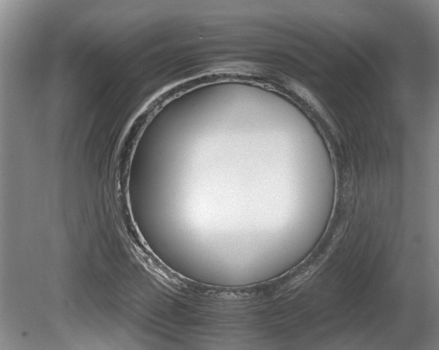 X0000079300923200611170825
