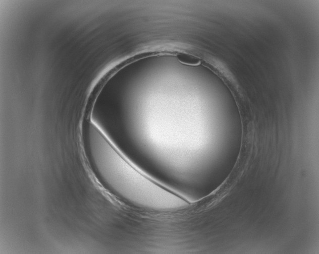 X0000079300936200611170825