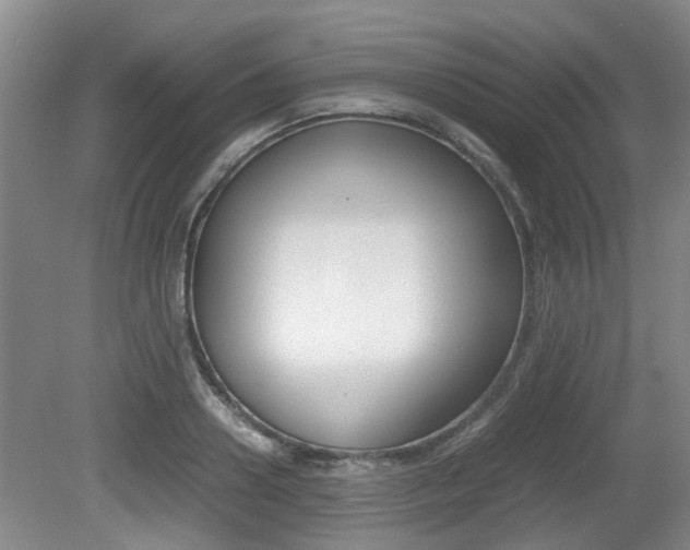 X0000079300938200611170825