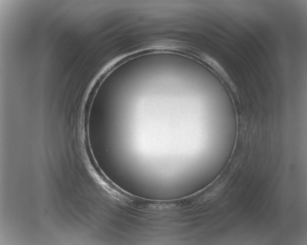 X0000079300939200611170825