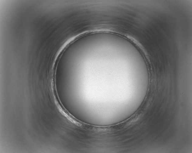 X0000079300941200611170825