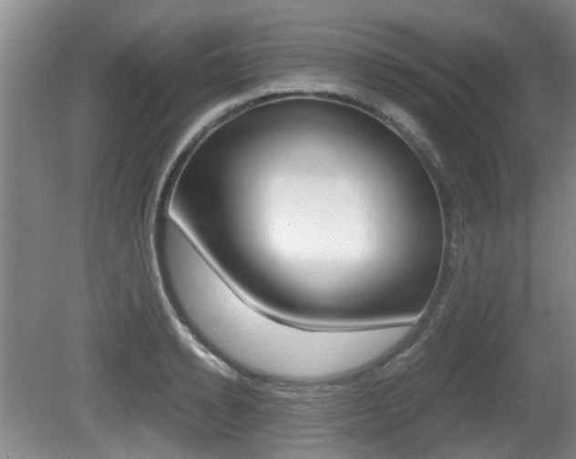 X0000079300942200611170825