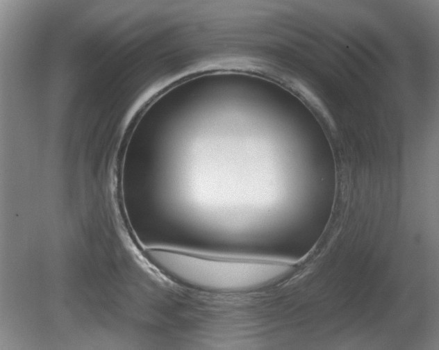 X0000079300944200611170825