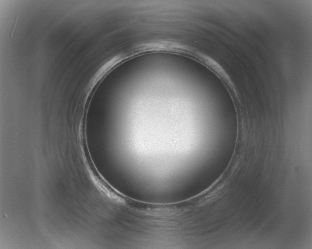 X0000079300946200611170825