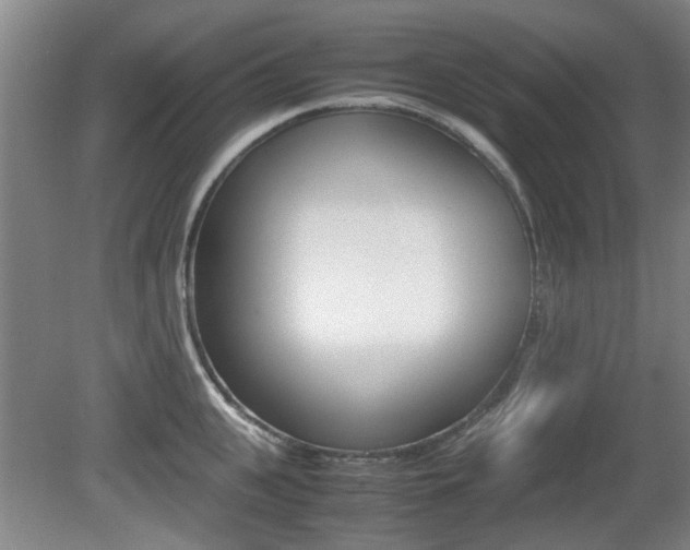 X0000079300951200611170825