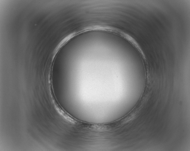 X0000079300954200611170825