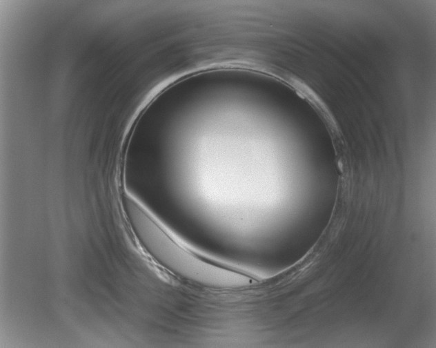 X0000079300956200611170825