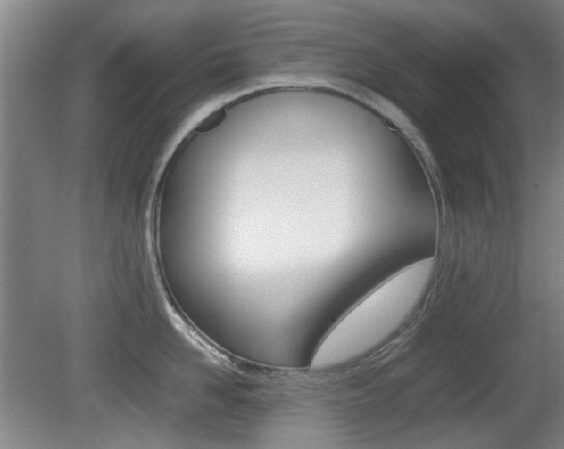 X0000079300958200611170825