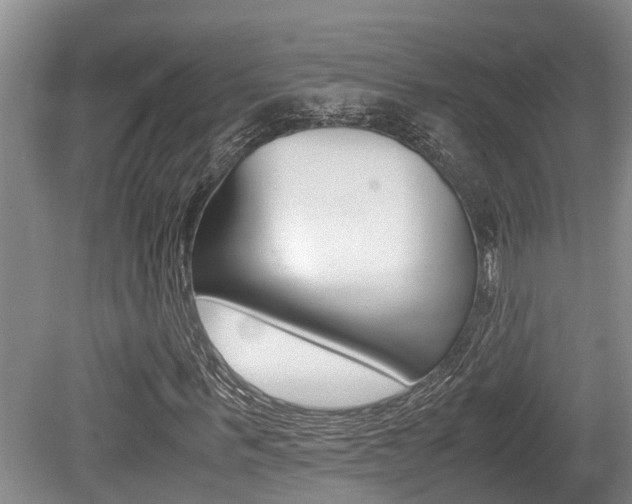 X0000079300963200611170825