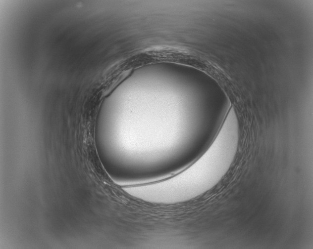 X0000079300965200611170825