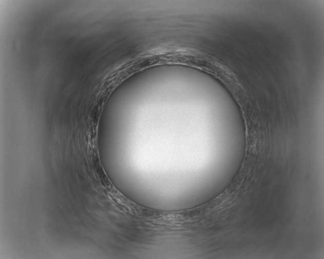 X0000079300966200611170825