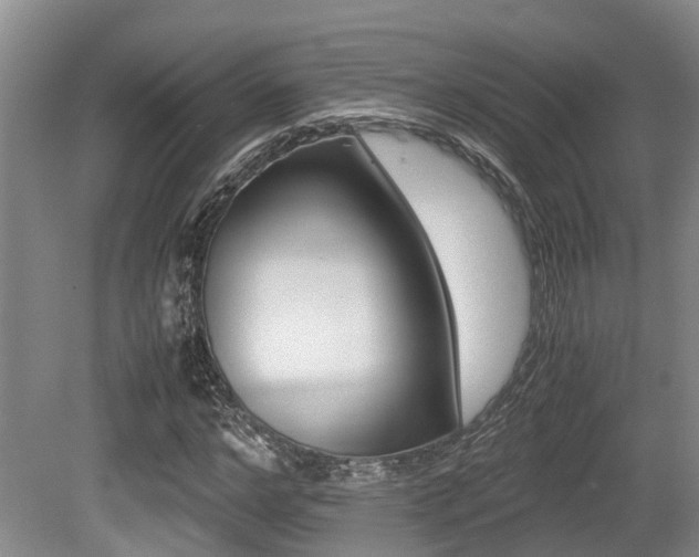 X0000079300968200611170825