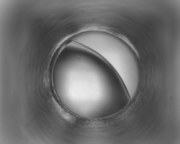 X0000079300972200611170824