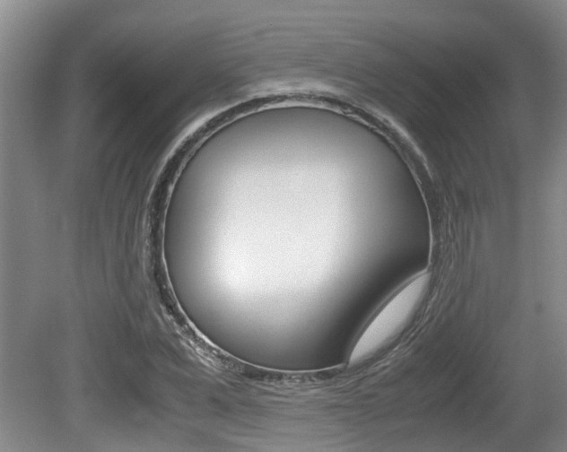 X0000079300975200611170824