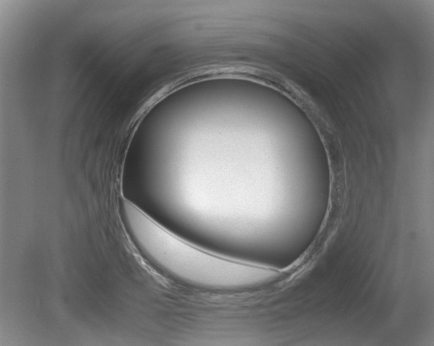 X0000079300985200611170824