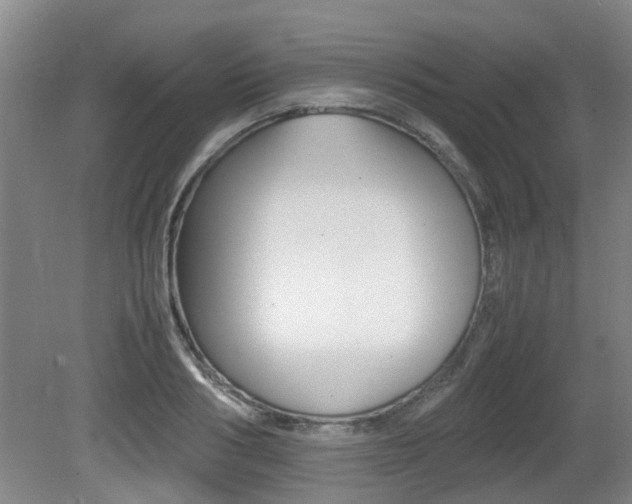 X0000079300986200611170824