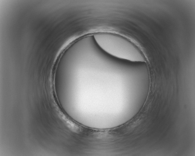 X0000079300990200611170824