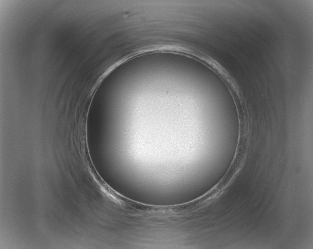 X0000079301001200611170824