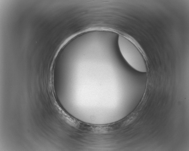 X0000079301004200611170824
