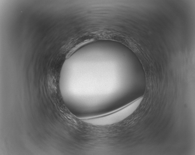 X0000079301010200611170823