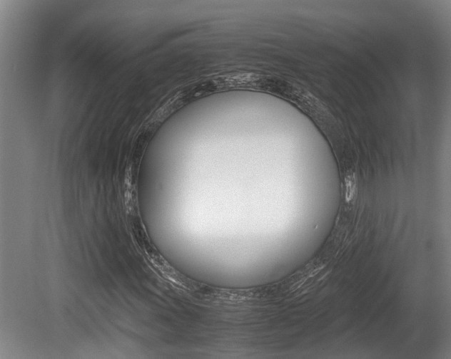 X0000079301011200611170823