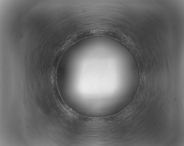 X0000079301012200611170823