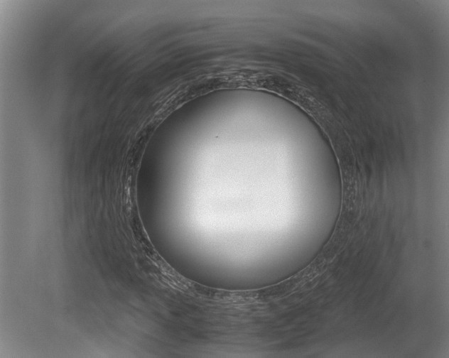 X0000079301013200611170823