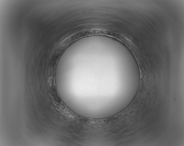 X0000079301015200611170823
