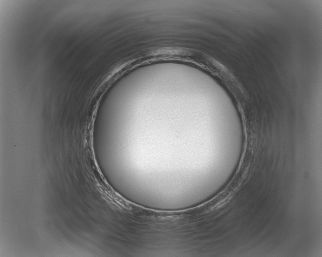 X0000079301017200611170823