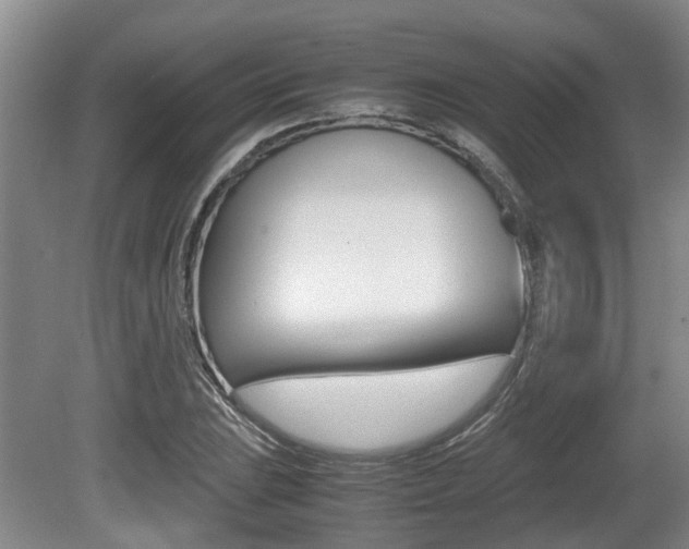 X0000079301023200611170823