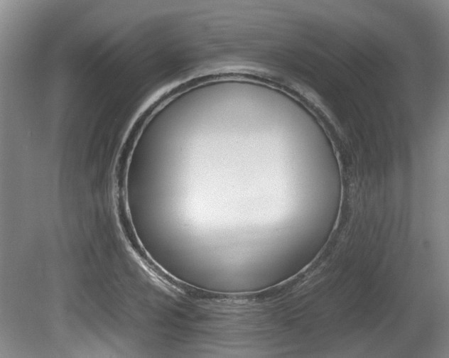 X0000079301024200611170823