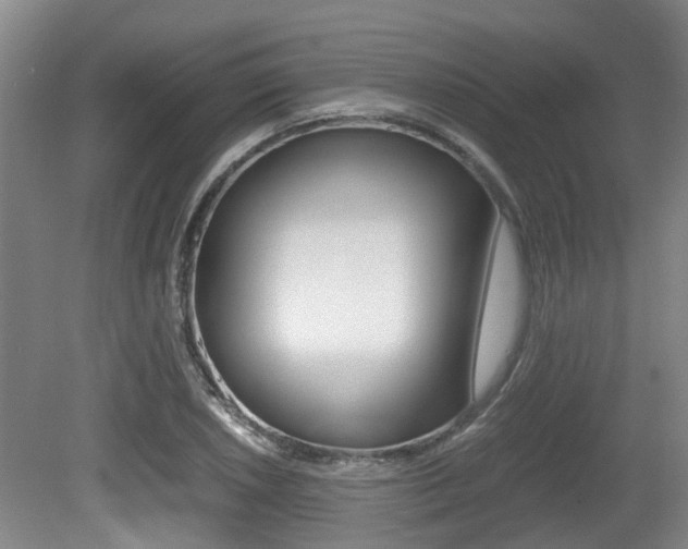 X0000079301026200611170823