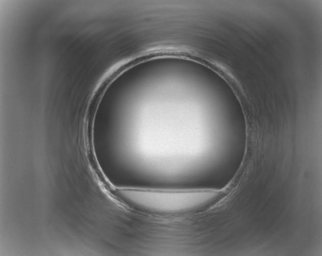 X0000079301030200611170823