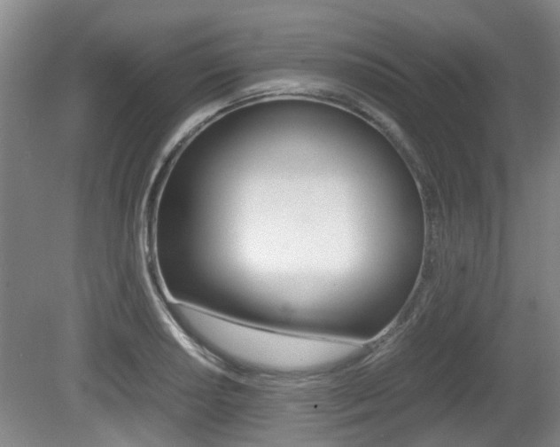 X0000079301034200611170823