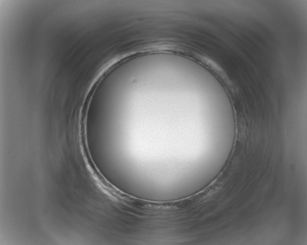 X0000079301039200611170824