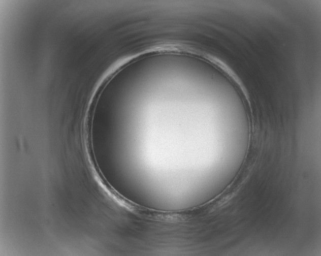 X0000079301045200611170824