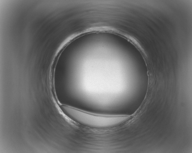 X0000079301046200611170824