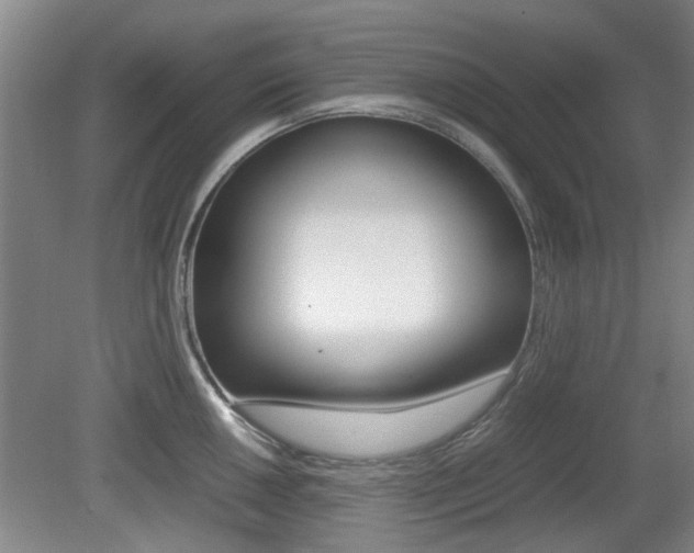 X0000079301050200611170824