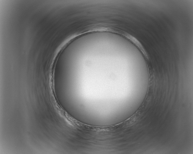 X0000079301051200611170824
