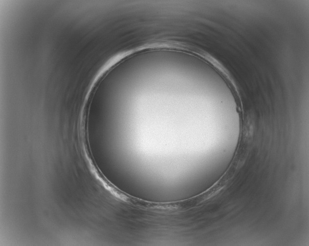 X0000079301053200611170824