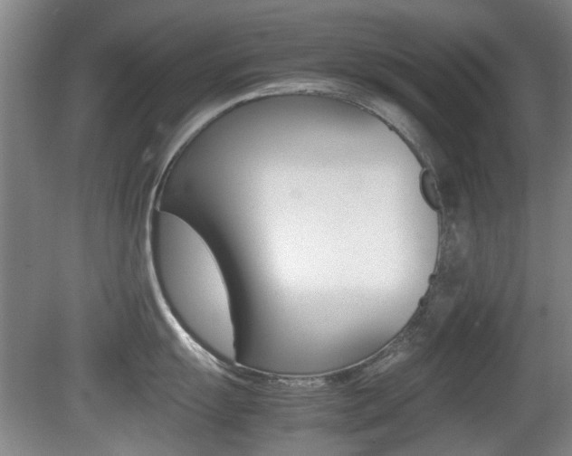X0000079301055200611170824