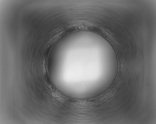 X0000079301060200611170823