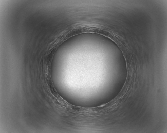 X0000079301061200611170823