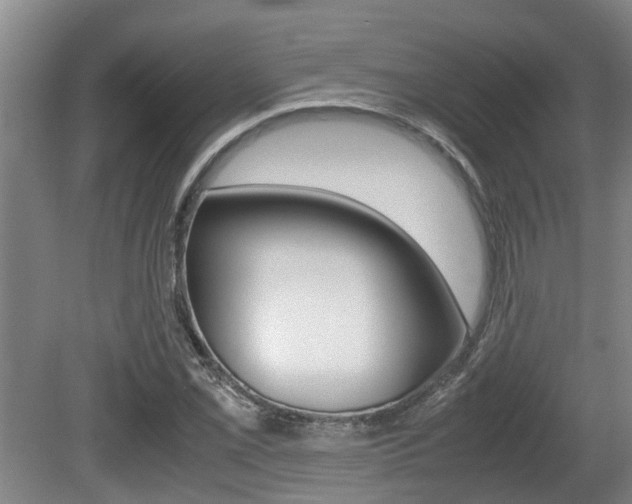 X0000079301069200611170823