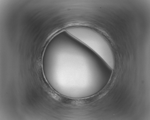 X0000079301073200611170823