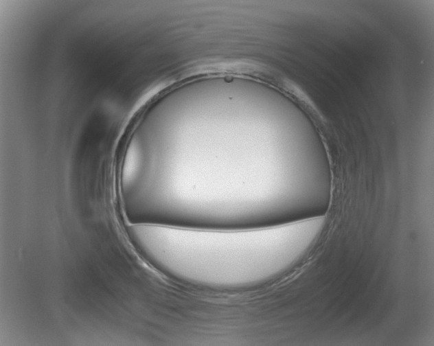 X0000079301079200611170823