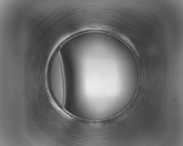 X0000079301080200611170823