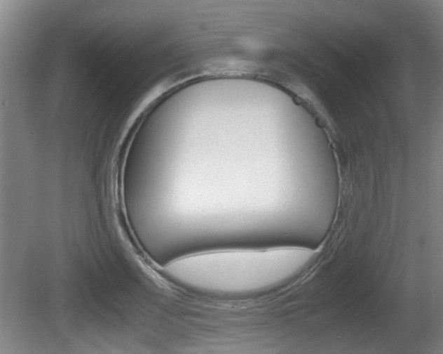 X0000079301083200611170823